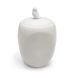 Pote de Porcelana com Tampa Bird 19x9