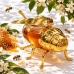 MELEIRA ABELHA VIDRO E METAL DOURADO C/COLHER